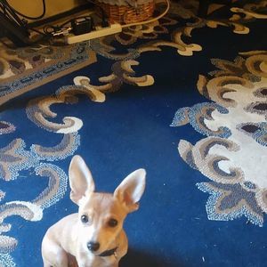 Meet your Posher, Andy